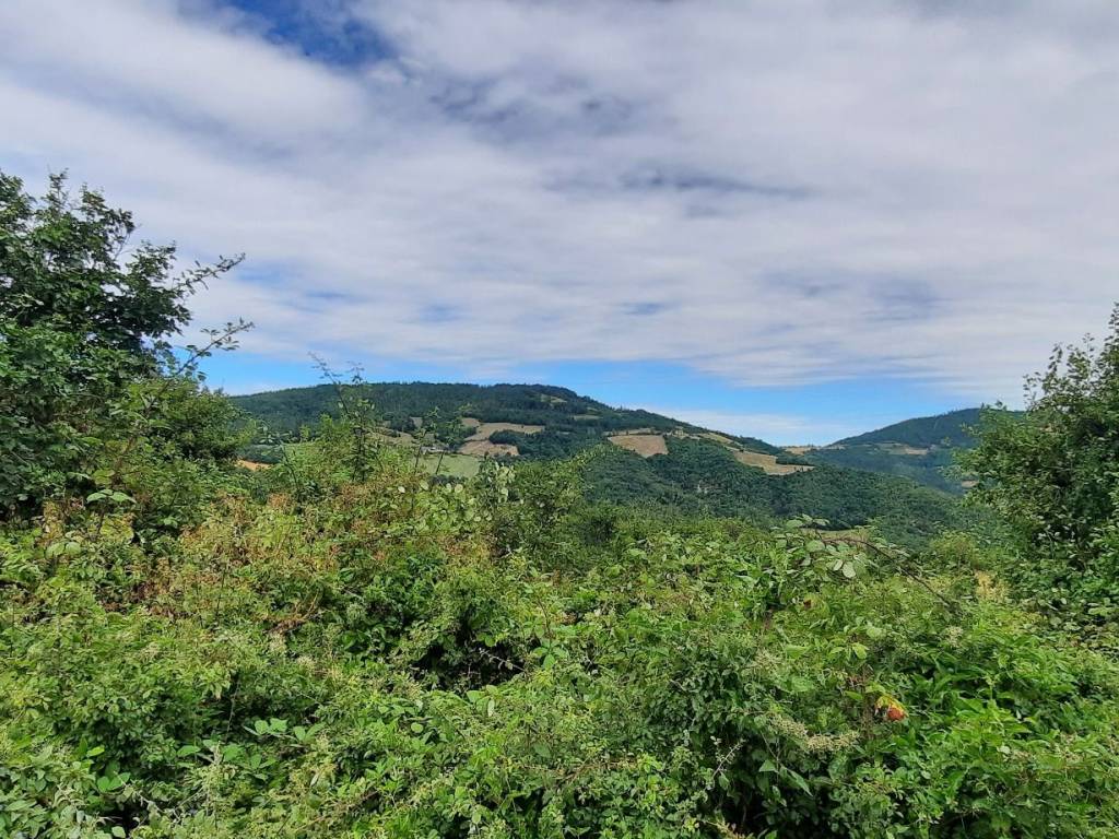 Rustico / casale a Bettola in Località Castana - Foto 2