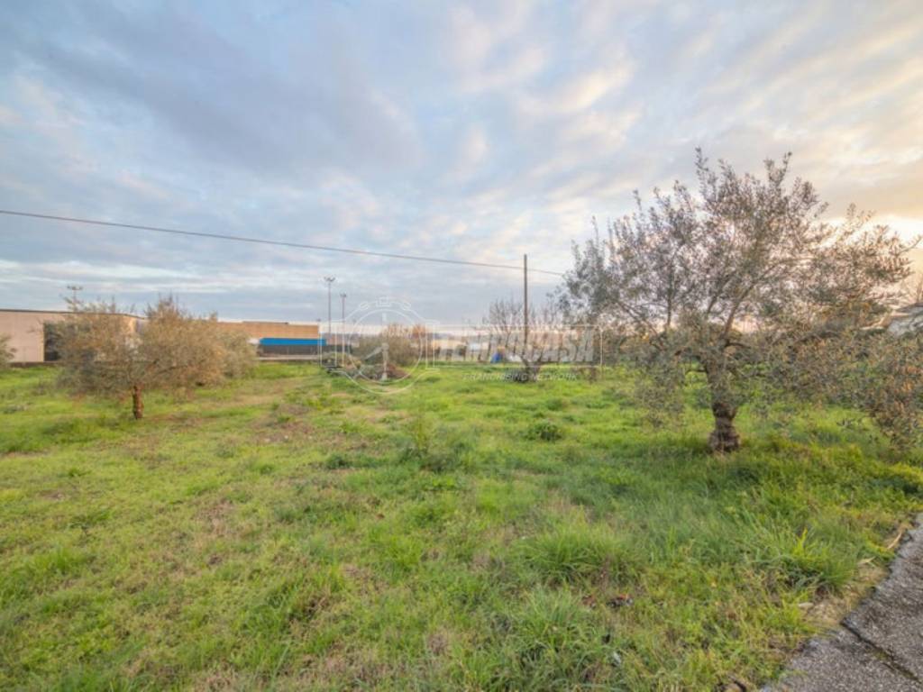 Terreno a Civitanova marche in Via Senatore Umberto Terracini - Foto 3