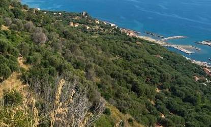 Appartamento a Pisciotta - Foto 4