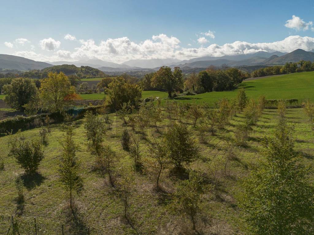 Terreno a Sassoferrato in frazione catobagli, 53 - Foto 2