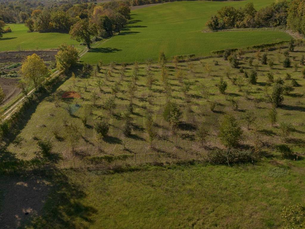 Terreno a Sassoferrato in frazione catobagli, 53 - Foto 5