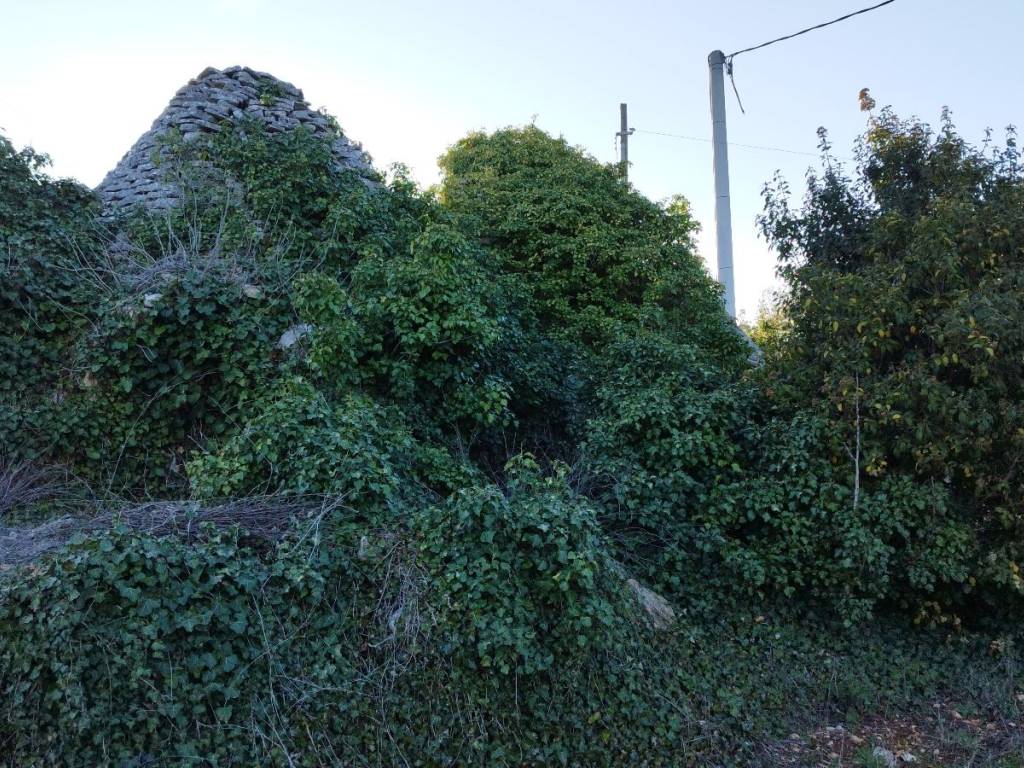 Rustico / casale a Cisternino in Contrada Sisto - Foto 2