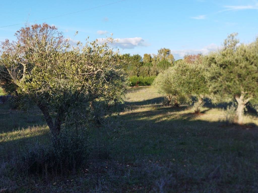 Rustico / casale a Cisternino in Contrada Sisto - Foto 3
