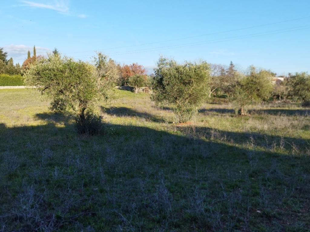 Rustico / casale a Cisternino in Contrada Sisto - Foto 4