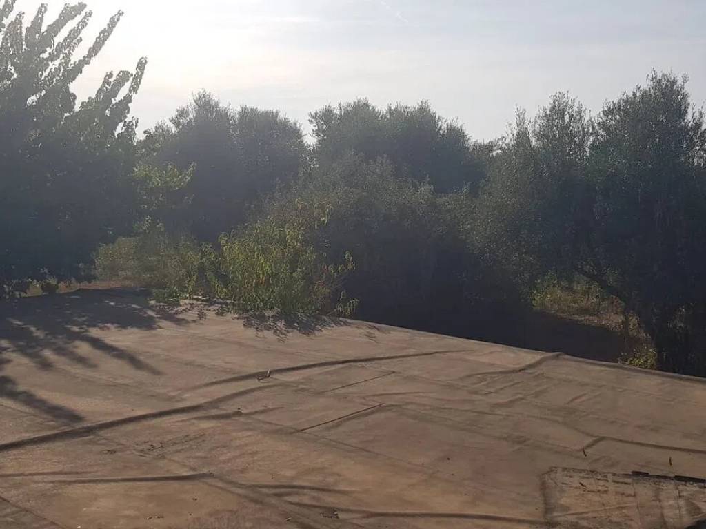 Terreno a Ciampino in Via Isola D' Elba S.N.C. - Foto 5