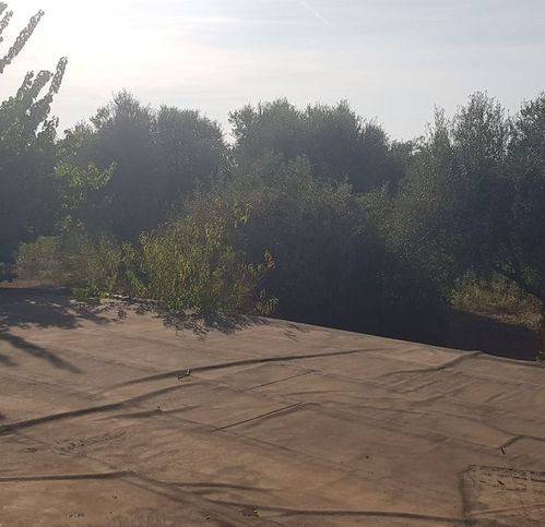 Terreno a Ciampino in Via Isola D' Elba - Foto 5