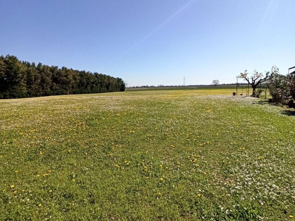 Terreno a Arquà polesine in Via Arginone Cornè, 1050 - Foto 4