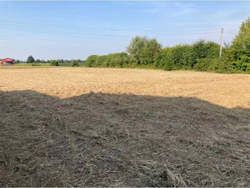 Terreno a Teolo in Via per Montemerlo - Foto 3