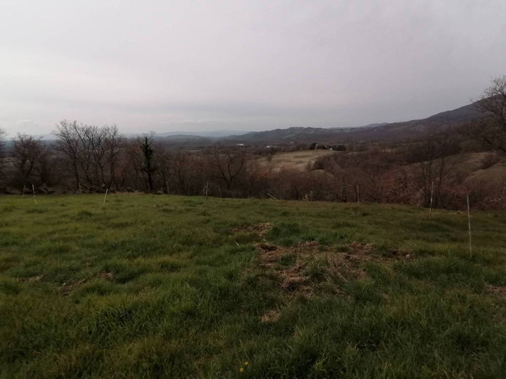 Terreno a Sorano in Località Casetta, 9 - Foto 3