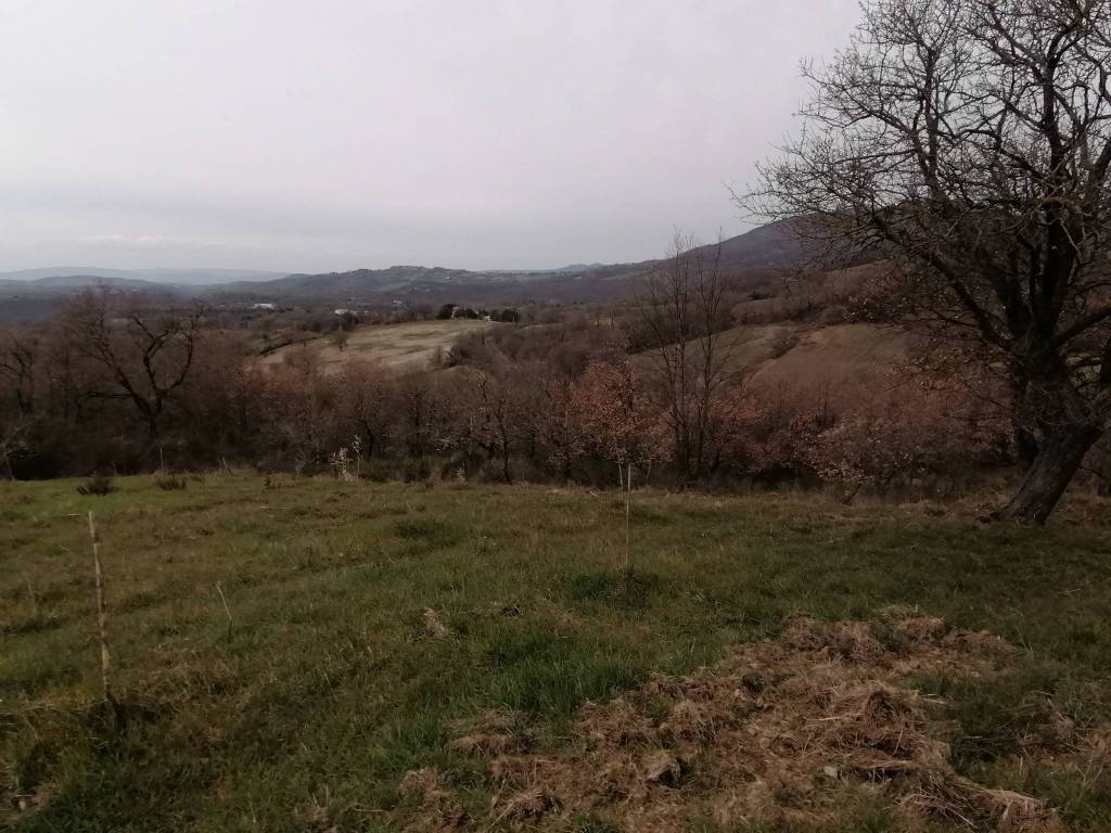 Terreno a Sorano in Località Casetta, 9 - Foto 4