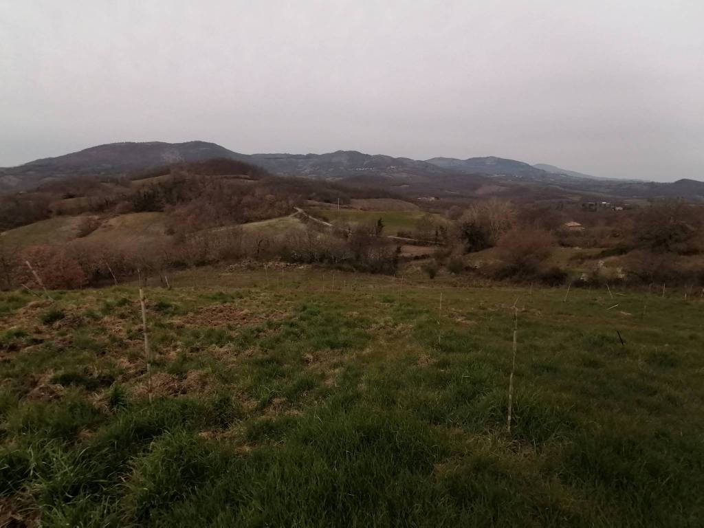 Terreno a Sorano in Località Casetta, 9 - Foto 5