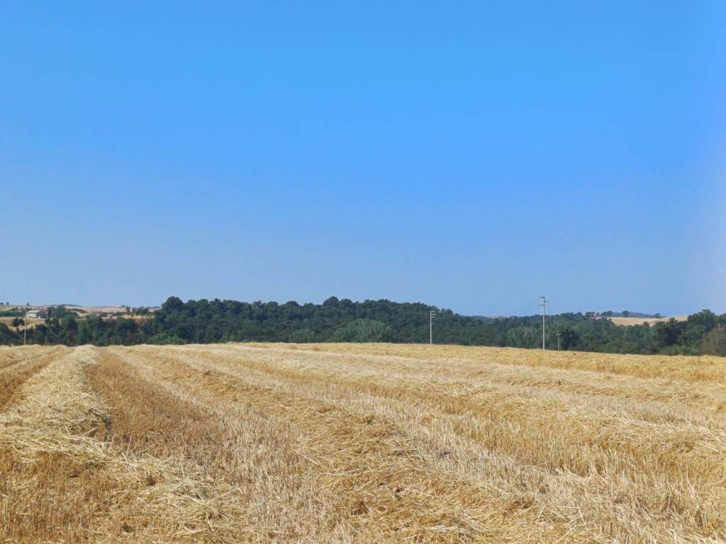 Terreno a Tuscania in localita san giuliano - Foto 4