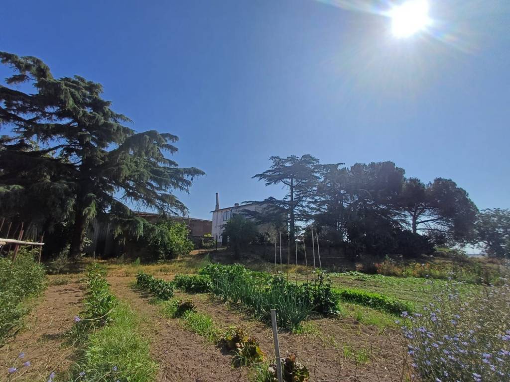 Terreno a Tuscania in localita san giuliano - Foto 5