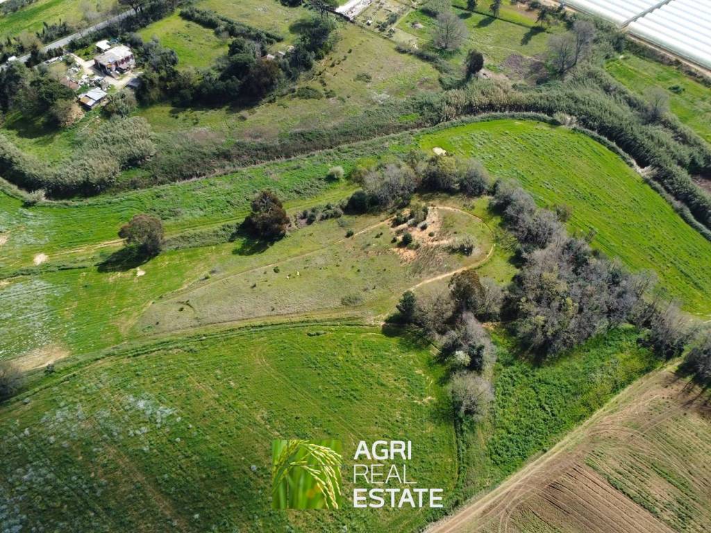 Terreno a Sabaudia in Strada Provinciale Litoranea - Foto 4