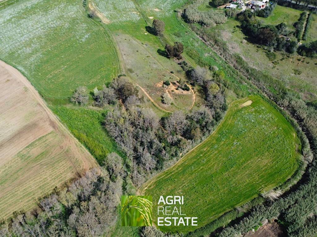 Terreno a Sabaudia in Strada Provinciale Litoranea - Foto 5