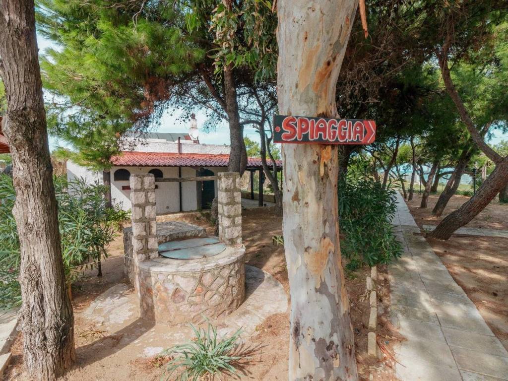 Appartamento a Vieste in Località Santa Maria di Merino - Foto 3
