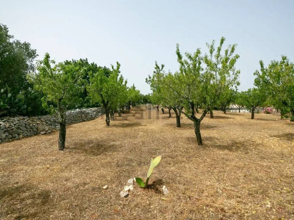 Villa a Ostuni in Contrada Traetta Grande - Foto 5