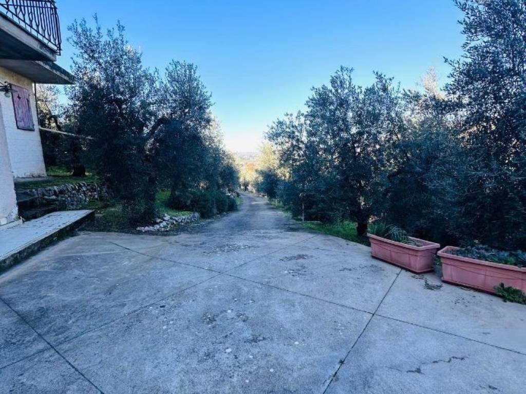 Villa a Sonnino in codinole - Foto 3