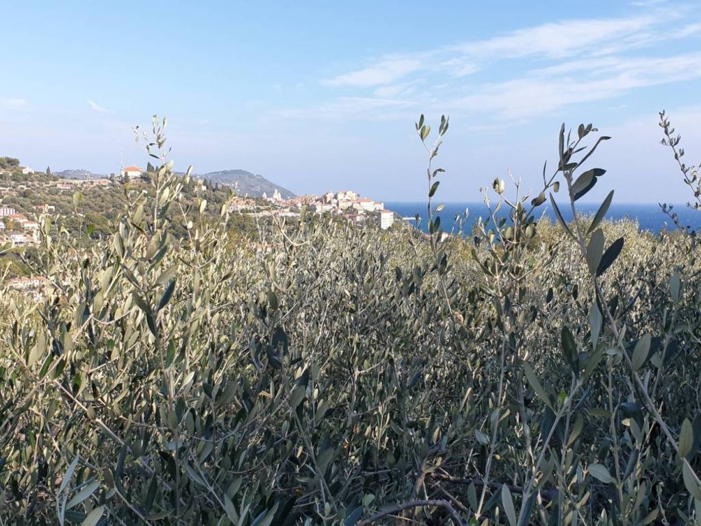 Terreno a Imperia in Via Diano Calderina - Foto 2