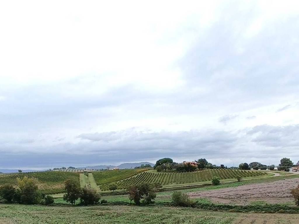 Immobile a Magliano in toscana in ZONA SANT'ANDREA - Foto 2