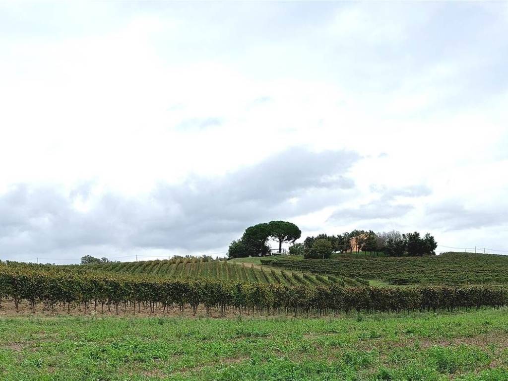 Immobile a Magliano in toscana in ZONA SANT'ANDREA - Foto 3