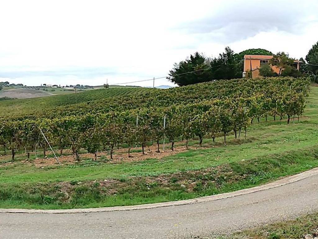 Immobile a Magliano in toscana in ZONA SANT'ANDREA - Foto 5