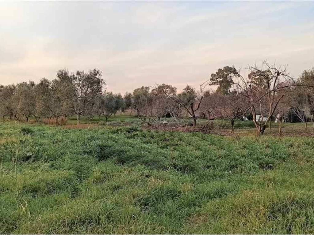 Terreno a Grosseto in ZONA SAN LORENZO - Foto 2