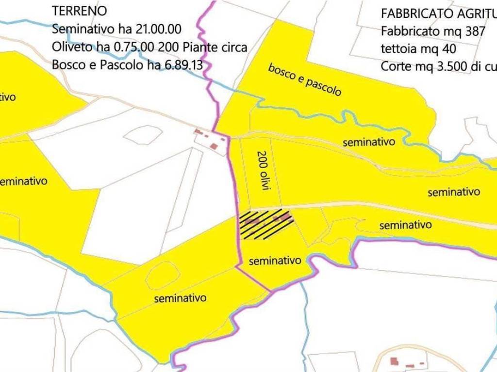 Terreno a Cinigiano in ZONA MONTECUCCO ZONA PIANTAVERNA - Foto 3