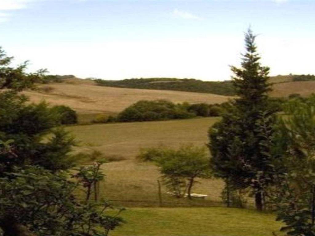 Terreno a Cinigiano in ZONA MONTECUCCO ZONA PIANTAVERNA - Foto 4