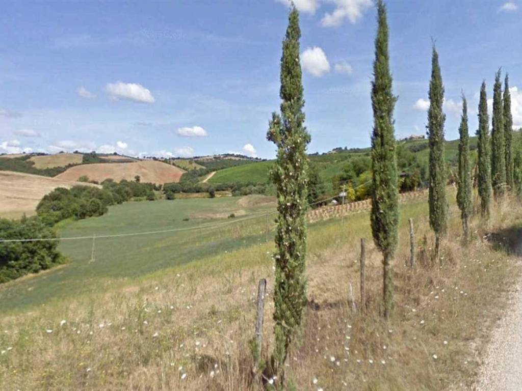Terreno a Cinigiano in ZONA MONTECUCCO ZONA PIANTAVERNA - Foto 5