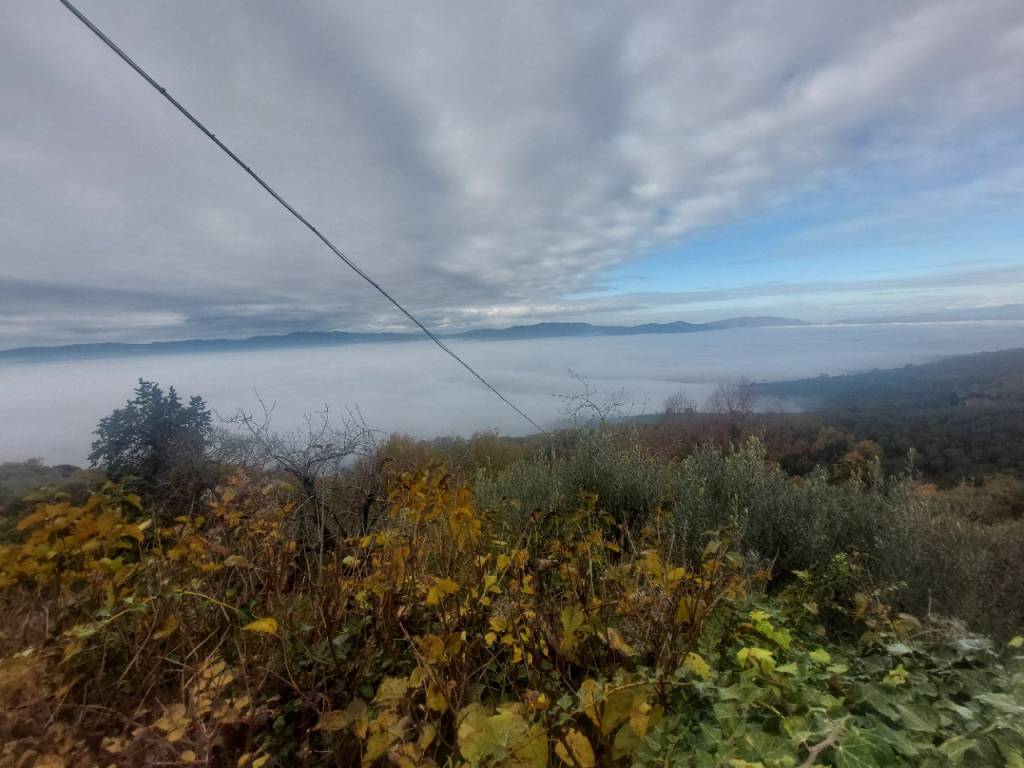 Appartamento a Castelfranco piandisco in Via Piave - Foto 3