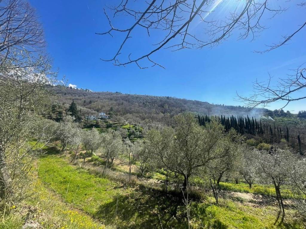 Rustico / casale a Castelfranco piandisco - Foto 2