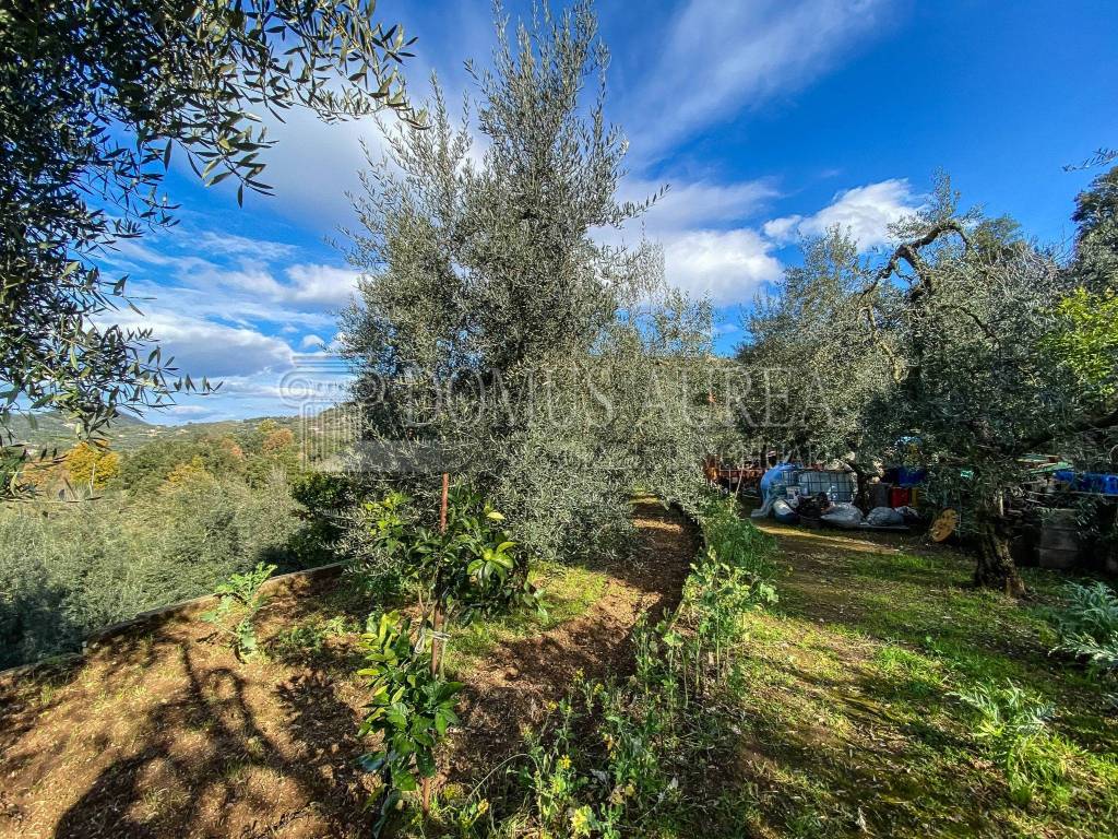 Terreno a Itri in Strada Provinciale Itri Sperlonga - Foto 2