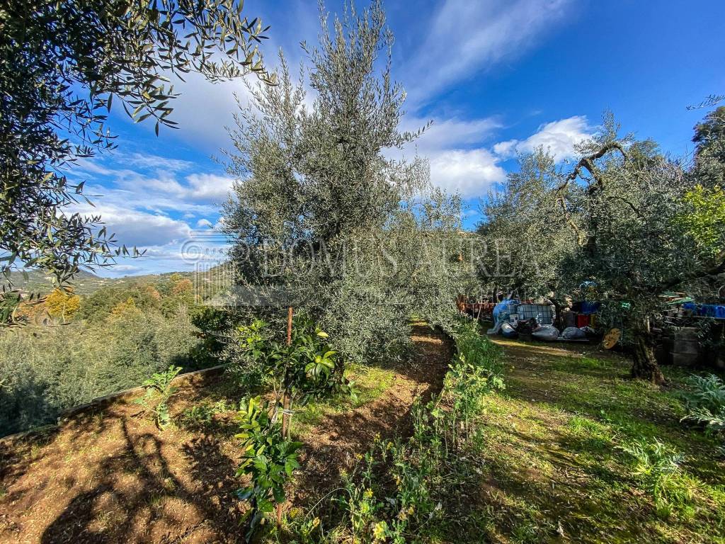 Terreno a Itri in Strada Provinciale Itri Sperlonga - Foto 3