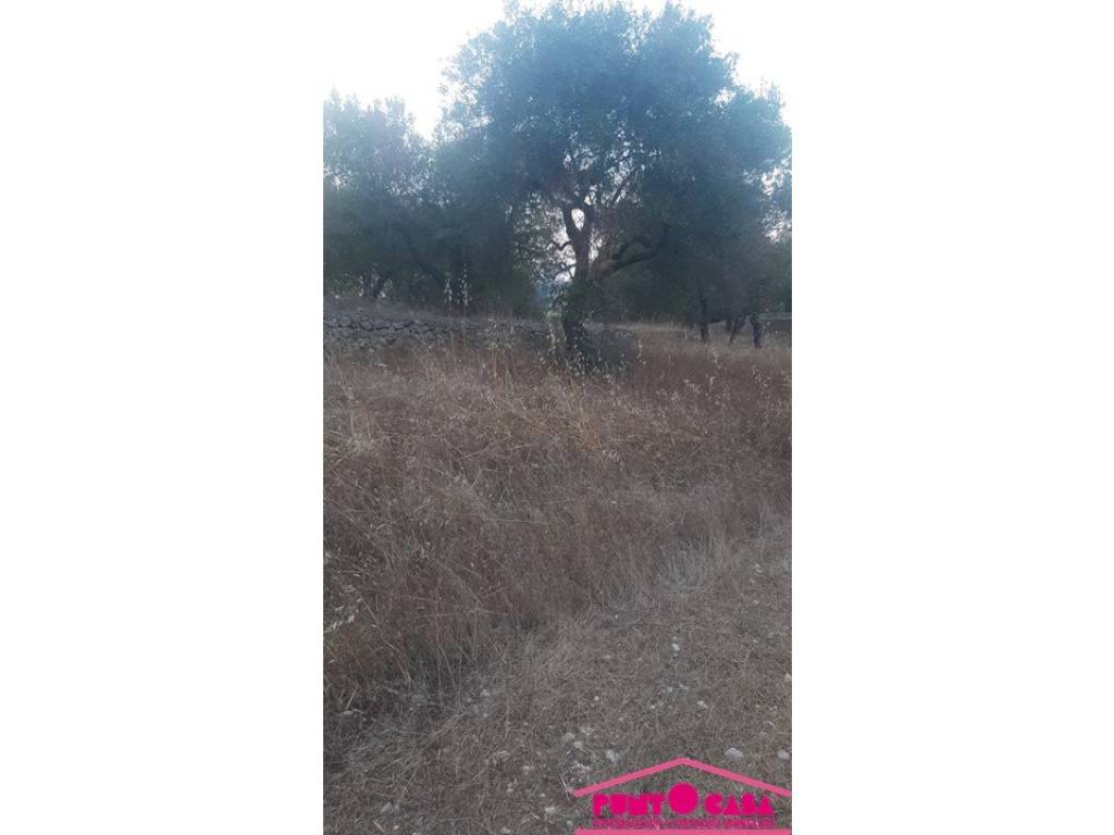 Rustico / casale a Ostuni in Pascarosa - Foto 3