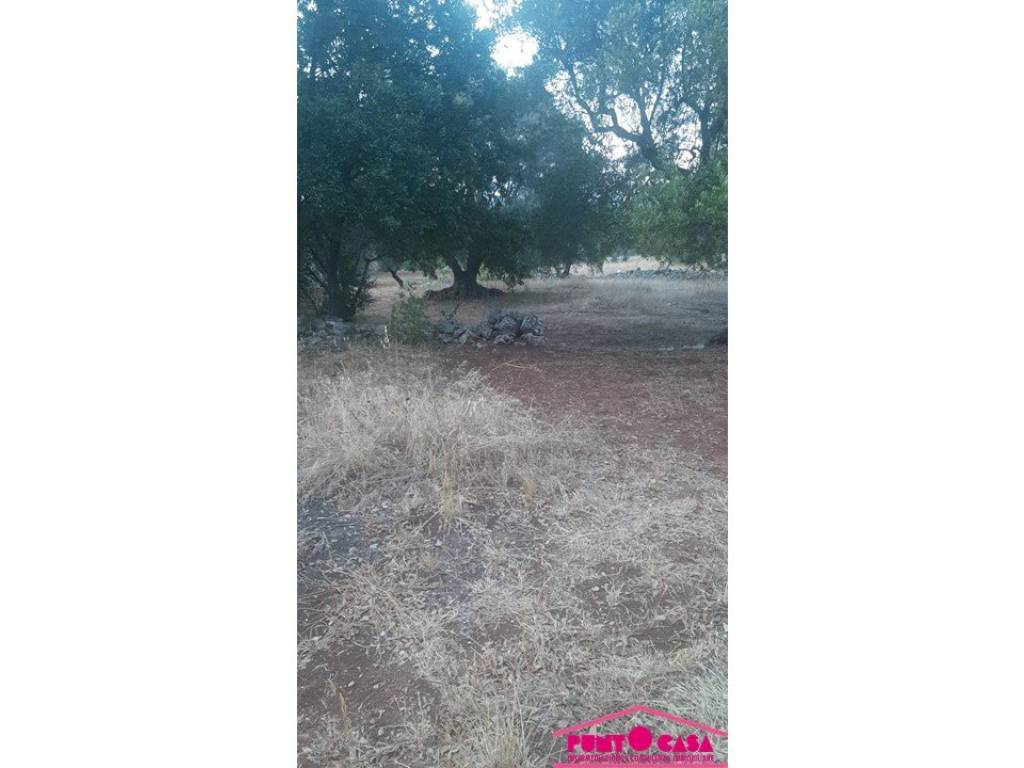 Rustico / casale a Ostuni in Pascarosa - Foto 5