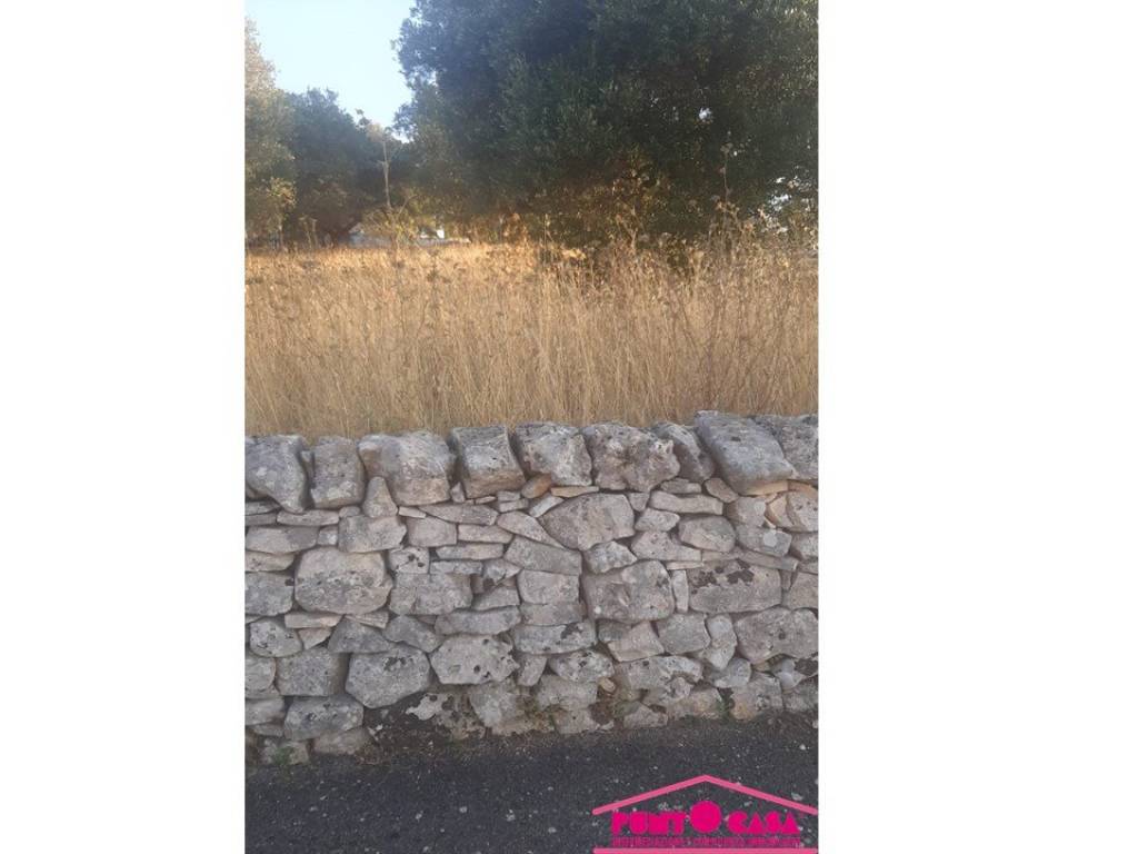 Terreno a Cisternino in Strada Comunale Monte la Croce - Foto 3