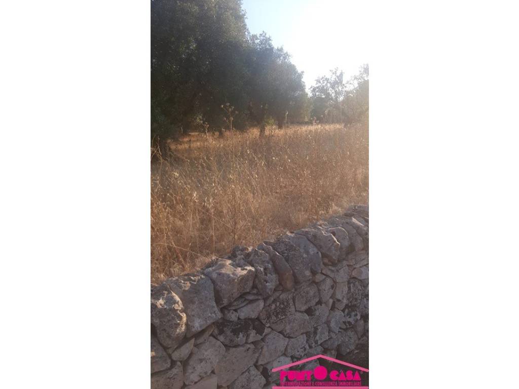Terreno a Cisternino in Strada Comunale Monte la Croce - Foto 4