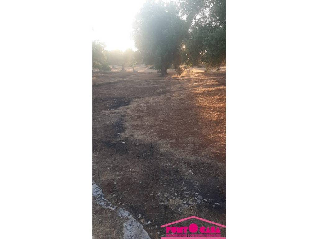 Rustico / casale a Ostuni in Contrada Pascarosa - Foto 2