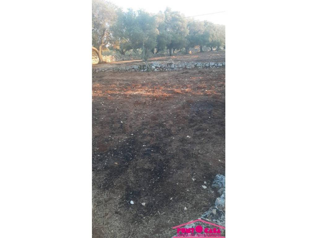 Rustico / casale a Ostuni in Contrada Pascarosa - Foto 3