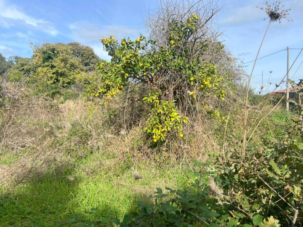 Terreno a Aci catena in Via Eremo Sant'Anna, 28 - Foto 4