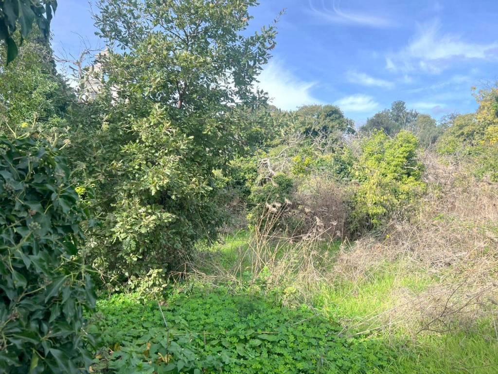 Terreno a Aci catena in Via Eremo Sant'Anna, 28 - Foto 5