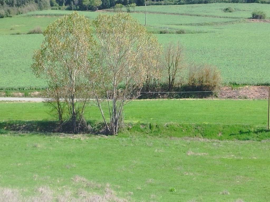 Rustico / casale a Sovicille in Strada dell'Asciano - Foto 2