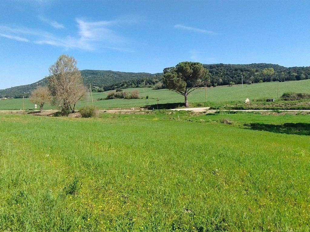 Rustico / casale a Sovicille in Strada dell'Asciano - Foto 3