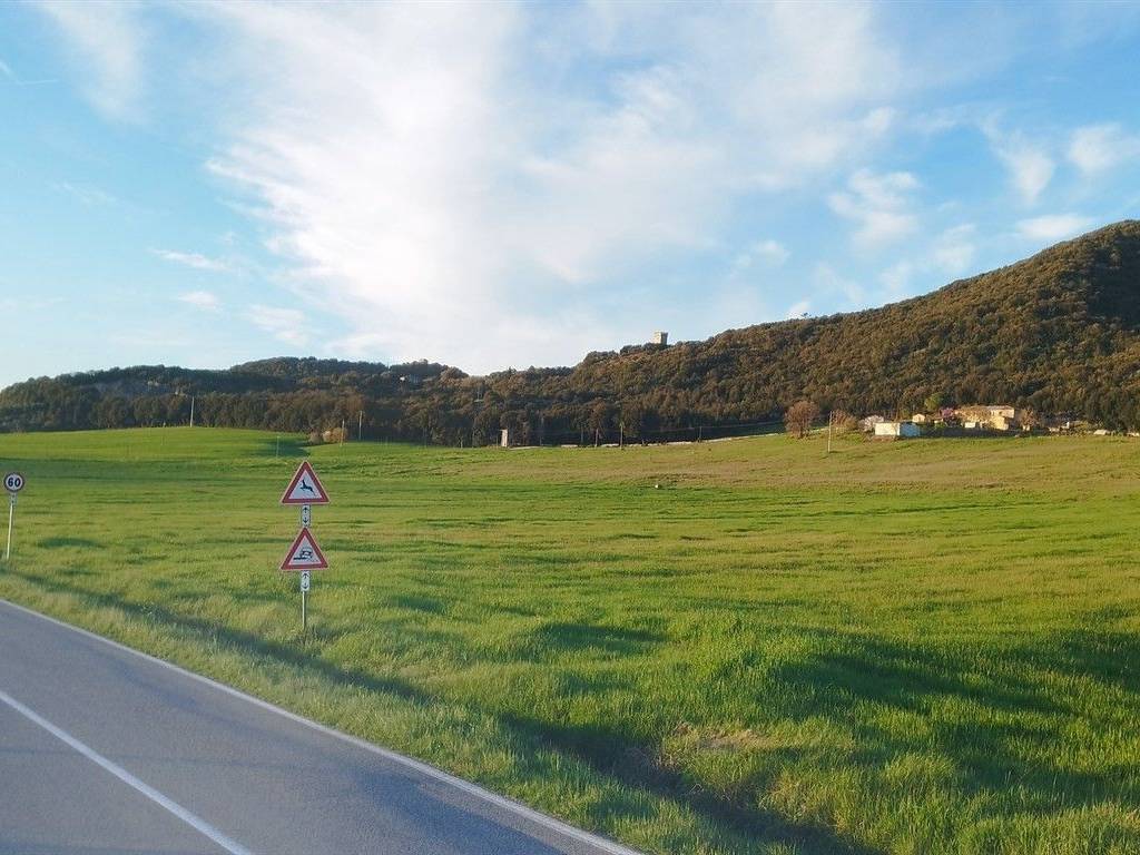 Rustico / casale a Sovicille in Strada dell'Asciano - Foto 4