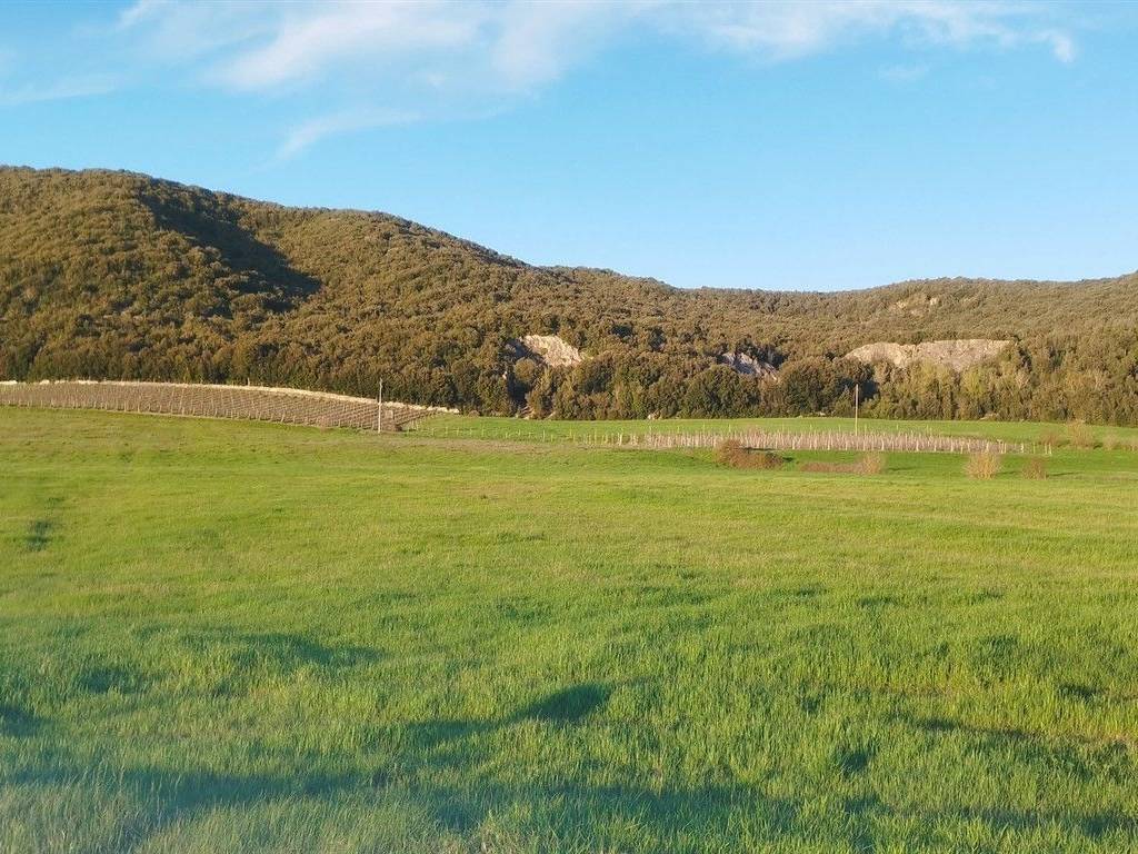 Rustico / casale a Sovicille in Strada dell'Asciano - Foto 5