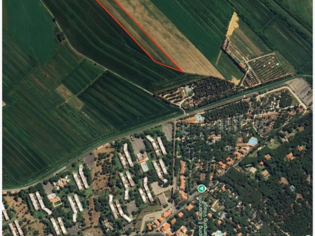 Terreno a Bibbona in Via dei Platani, - Foto 2