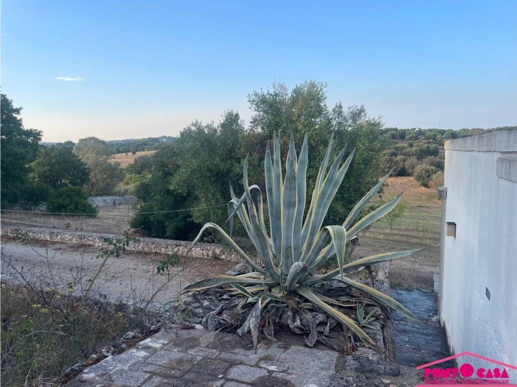 Rustico / casale a Ostuni in SP17 - Foto 5