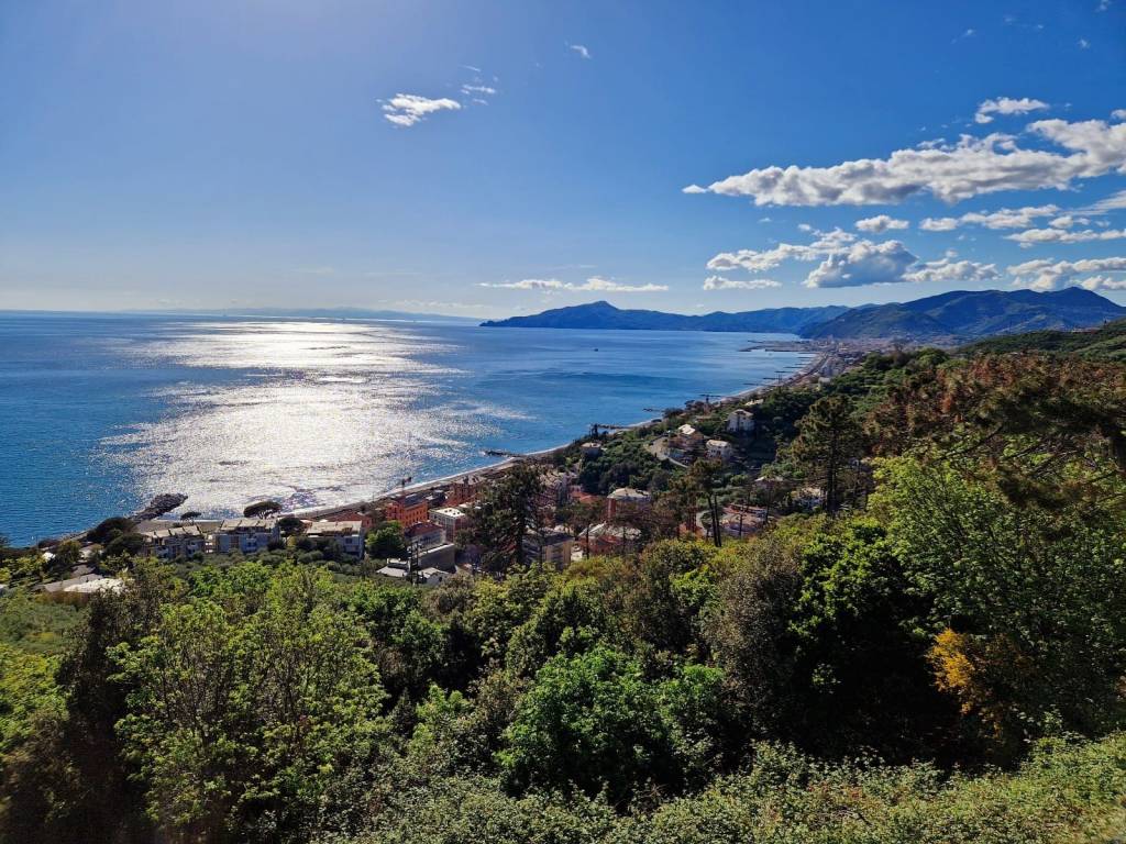 Villa a Lavagna in Via Torrente Barassi, 10 - Foto 2