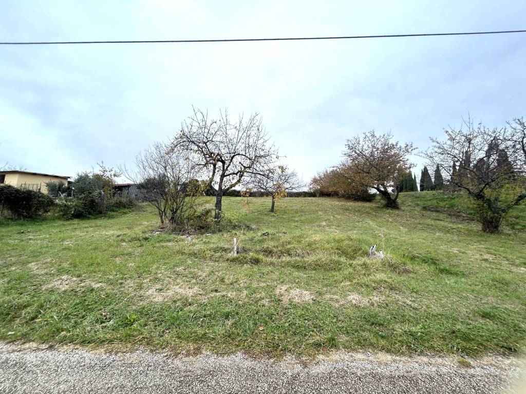 Terreno a Casperia in Località Querceto - Foto 3